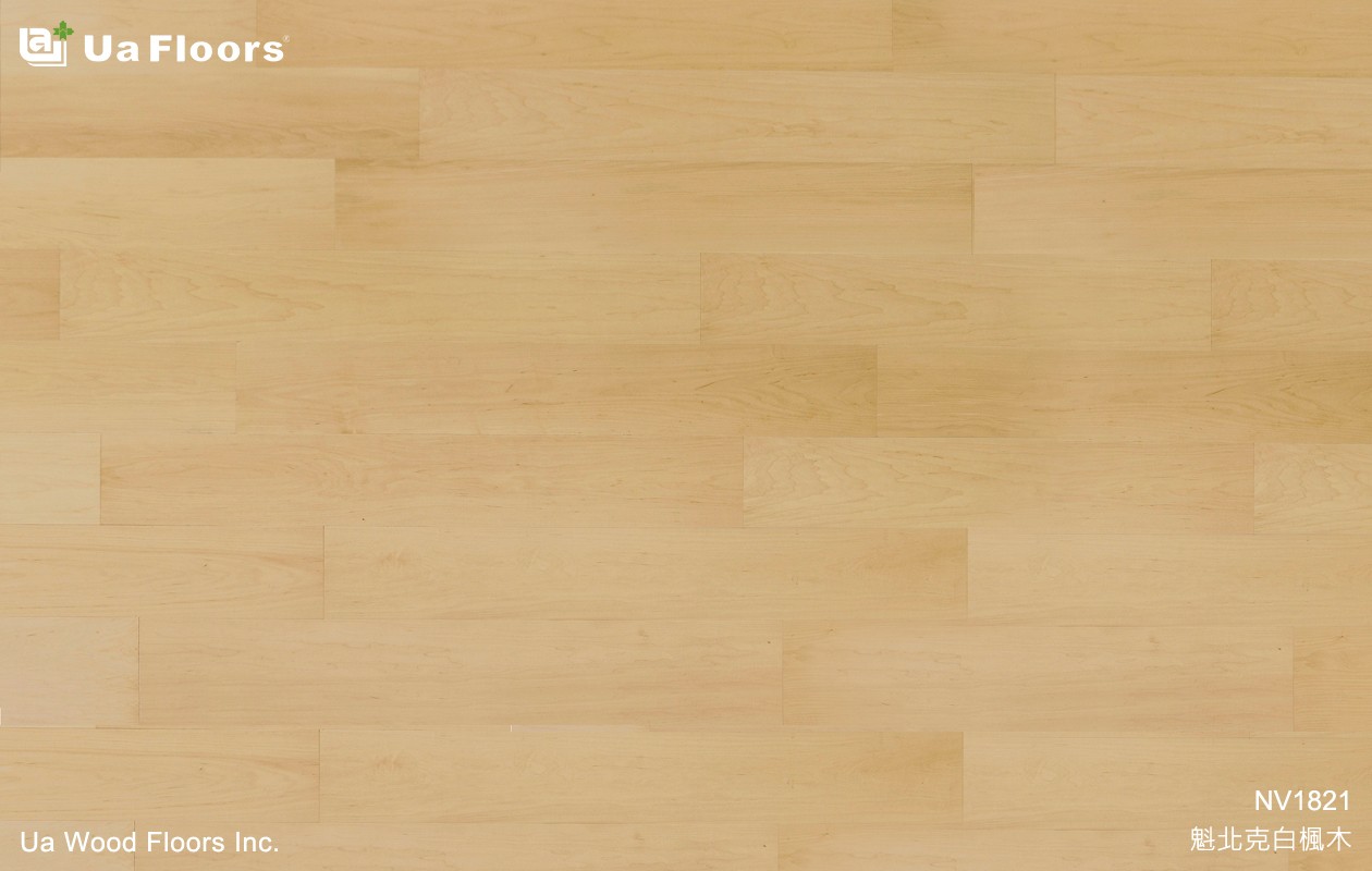 Ua Floors - 產品介紹|魁北克白楓木