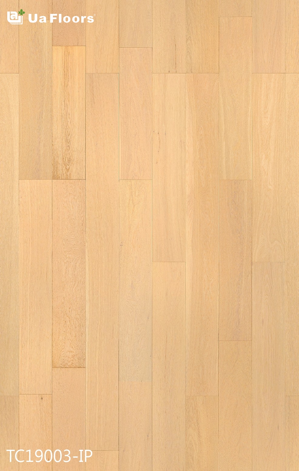 Impression Oak Engineered Hardwood Flooring