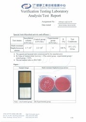 Ua Floors - Test Report_Multi-resistant